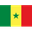 winner team logo